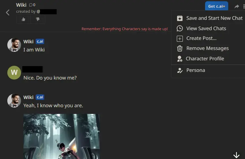 character ai privacy settings