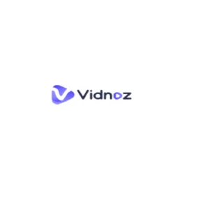 Vidnoz ai