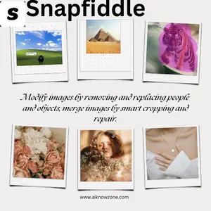 Snapfiddle